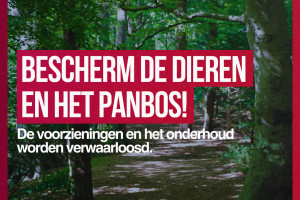 Bescherm de dieren en het Panbos!