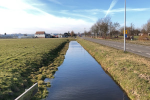 PvdA wil meer groen tussen N206 en huizen op Valkenhorst
